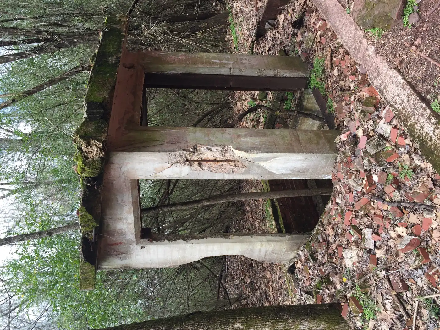 An old concrete structure from the mining era beside a trail at Red Mountain Park, on Homewood's edge.