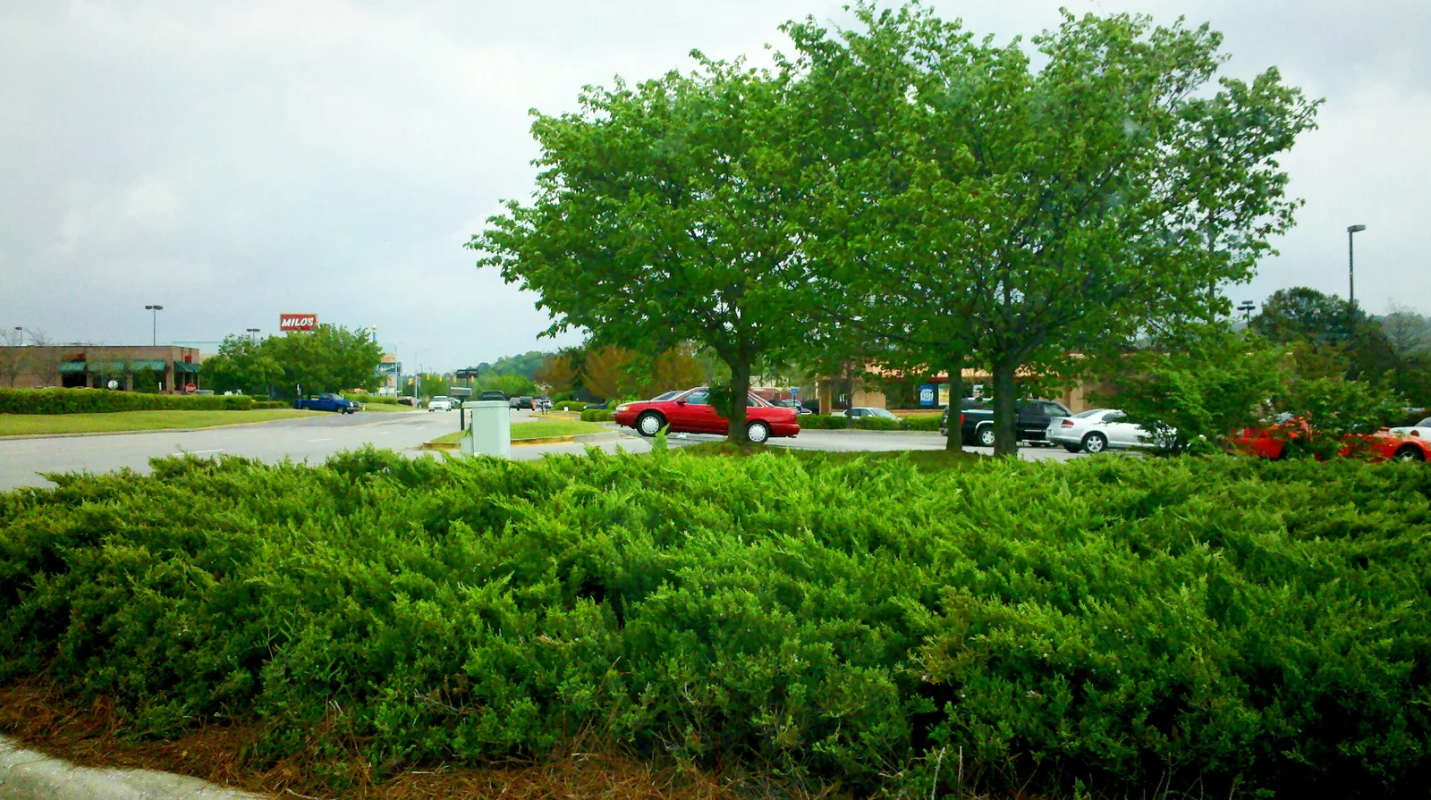 A parking lot and shopping center along Lakeshore Parkway in Homewood.
