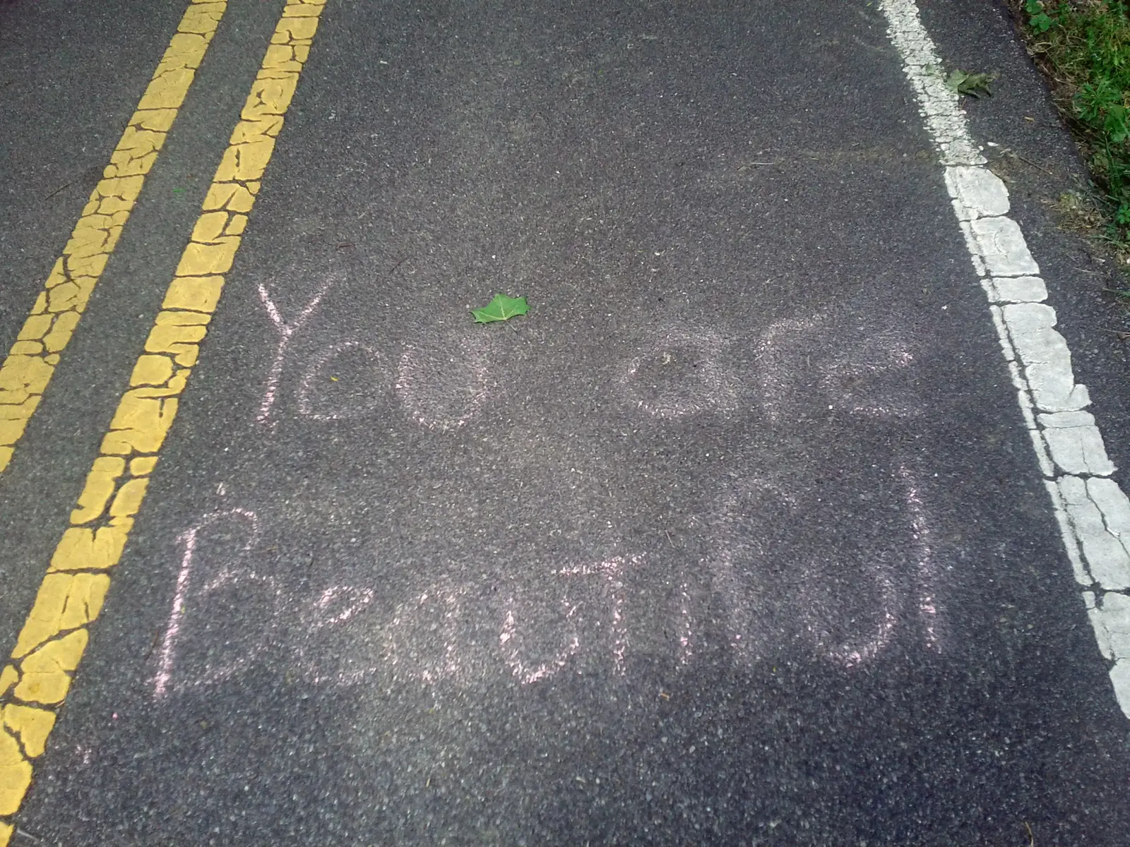 "You are Beautiful" written in chalk on the paved Lakeshore Trail, part of the Shades Creek Greenway in Homewood.